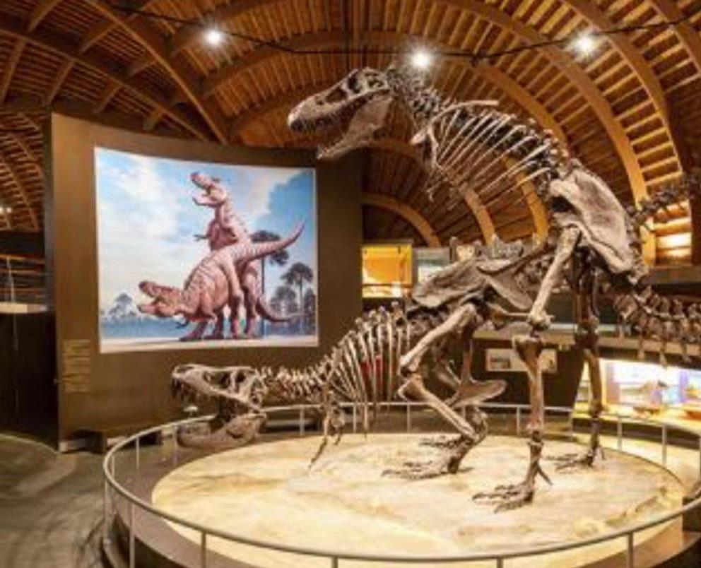 Museo del Jurásico de Asturias: una visita imprescindible