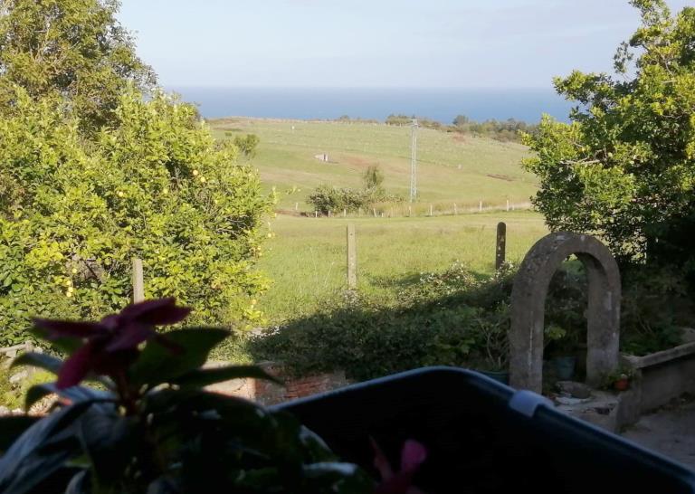 Naturaleza, acantilados y lugares para descubrir